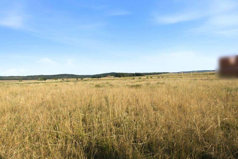 Gro�z�giges Baugrundst�ck mit eigener Zufahrt ? 1.175 m� und bis zu zwei Wohneinheiten /  / 2111&nbsp;Harmannsdorf / Bild 3